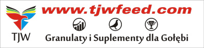 baner-tjw